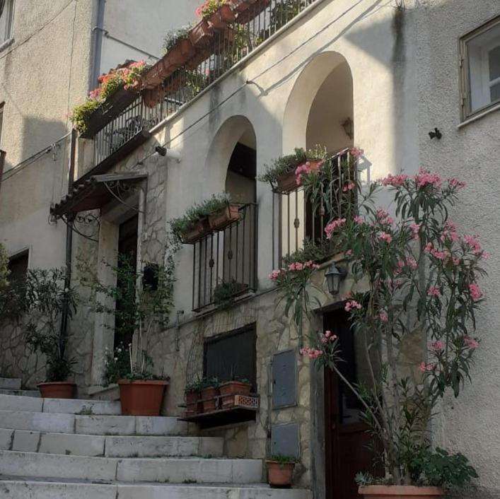 Porta Del Colle Villa Roccavivara Ngoại thất bức ảnh